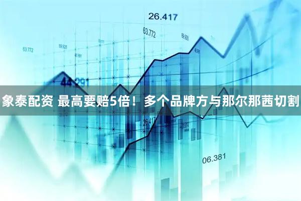 象泰配资 最高要赔5倍！多个品牌方与那尔那茜切割