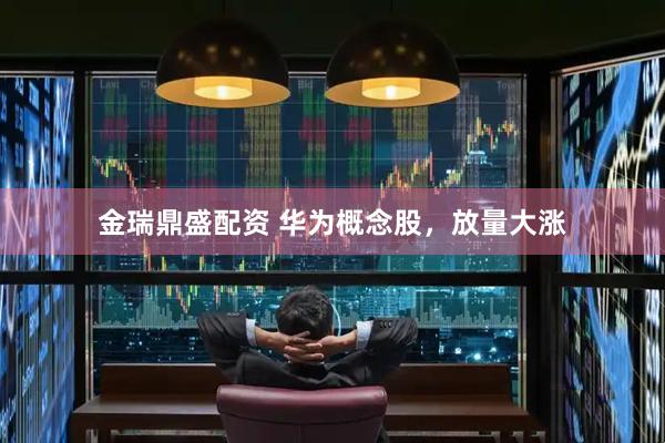 金瑞鼎盛配资 华为概念股，放量大涨