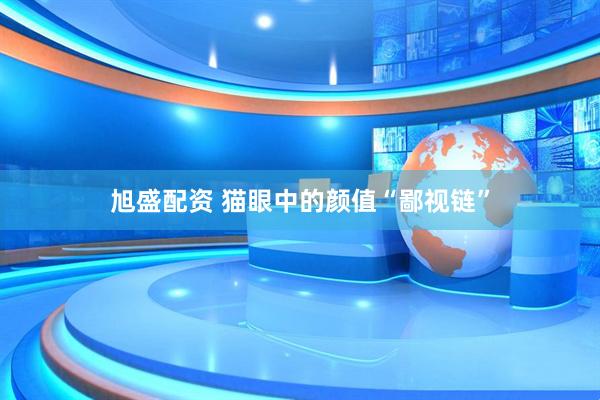 旭盛配资 猫眼中的颜值“鄙视链”